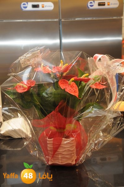 mat3am ludi3 (19).JPG